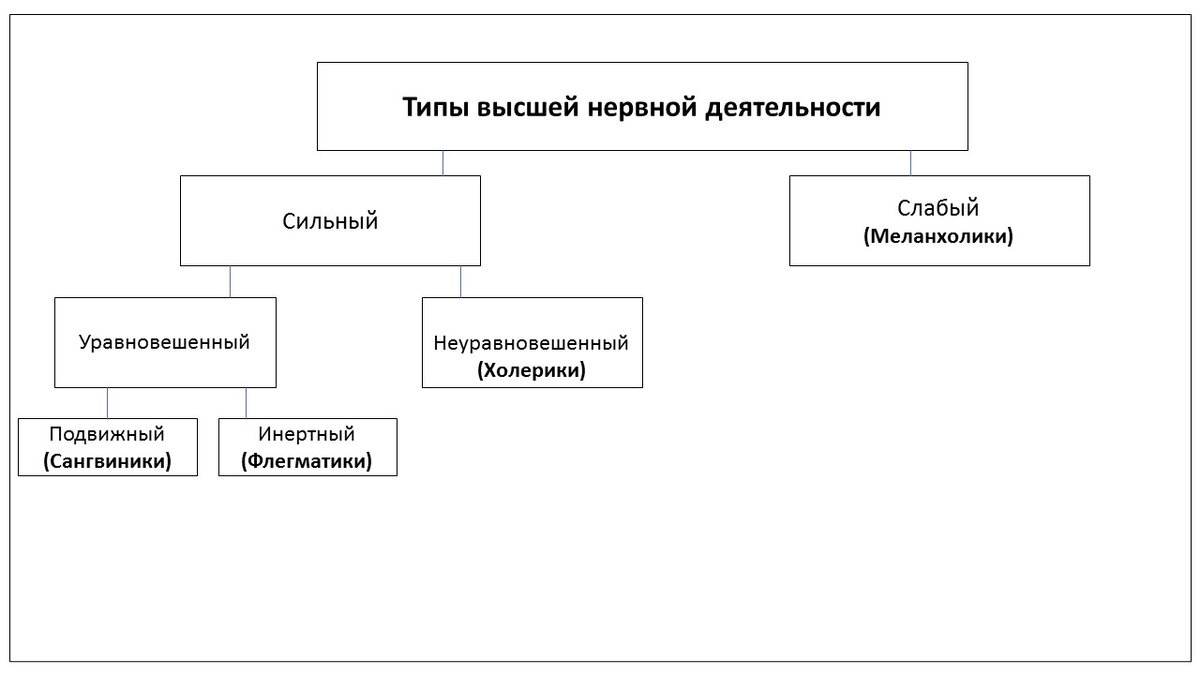 Рис. 1. Классическая схема И. Павлова. 4 типа темперамента (типа высшей нервной деятельности).