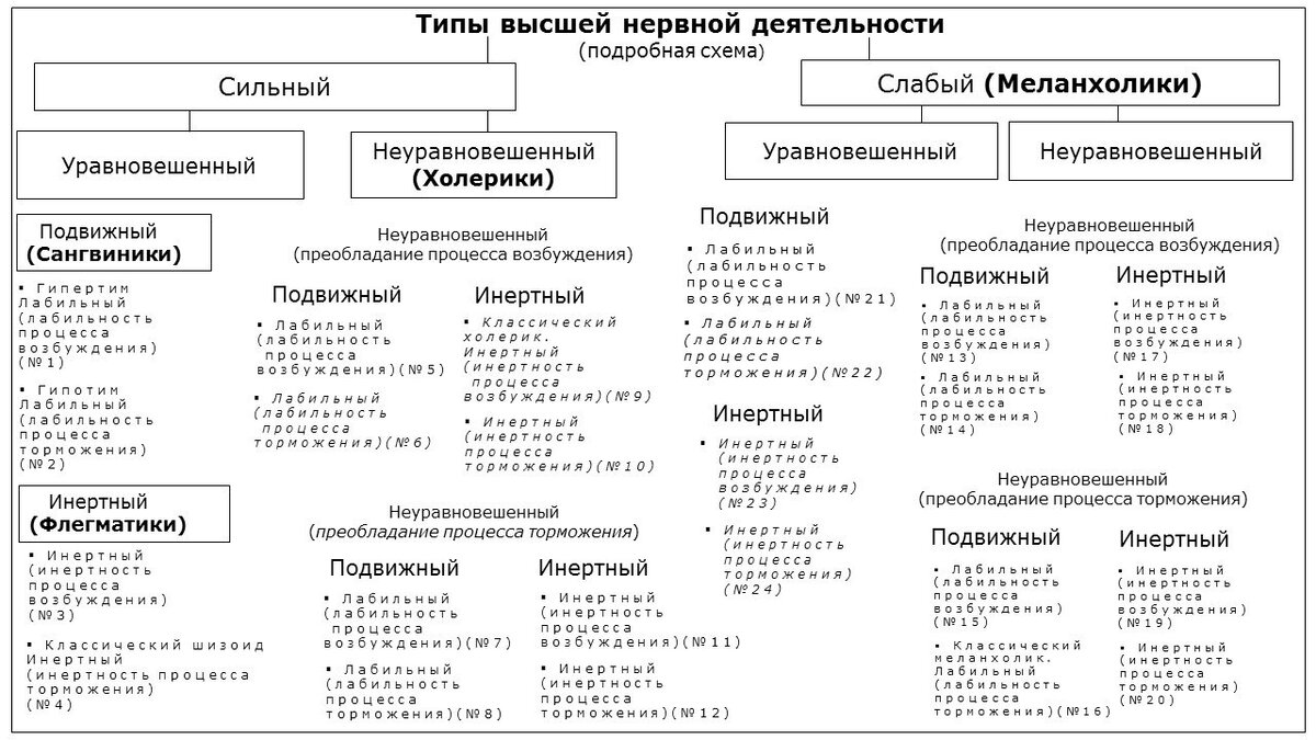 Рис. 2. 24 темперамента (типа высшей нервной деятельности). Подробная схема вариаций темпераментов (исходя из комментариев И. Павлова).                                                                     Слайд из книги "Темперамент как основа характера" К. Головановой