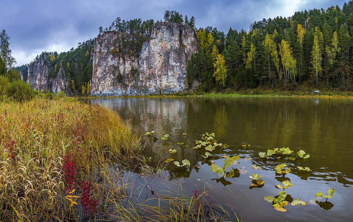 Вода пермский край. Растения реки Чусовая. Река Чусовая растения и животные реки. Растительный мир реки Чусовая. Заповедники на реке Чусовой Свердловской.