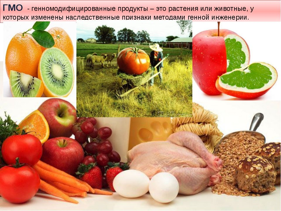 Свойства гмо. Генномодифицированные продукты. Трансгенные продукты питания. Генетически модифицированные продукты. ГМО В продуктах питания.