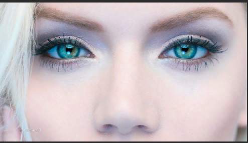 Взято из свободных источников