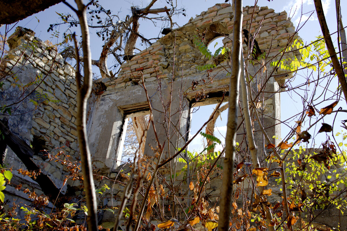 Фото автора Дзен канала "Пошли с Натали"