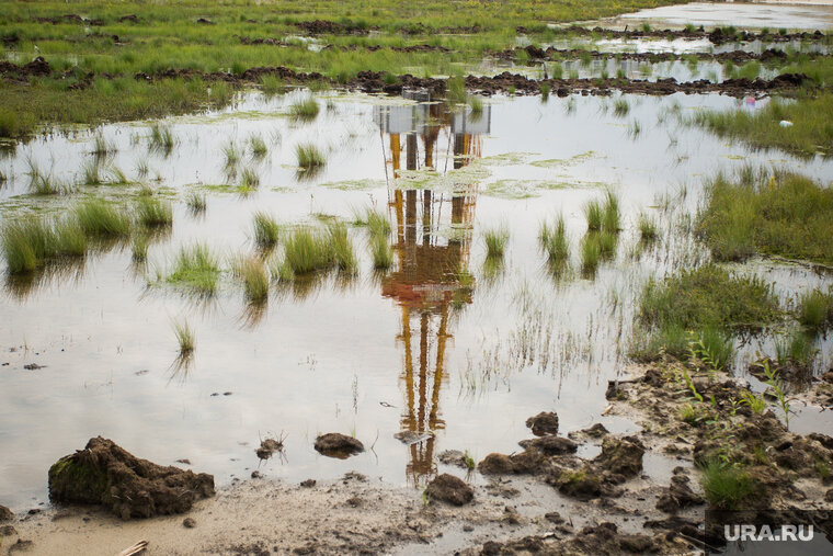    НК «Негуснефть» задержала плату за негативное воздействие на природу