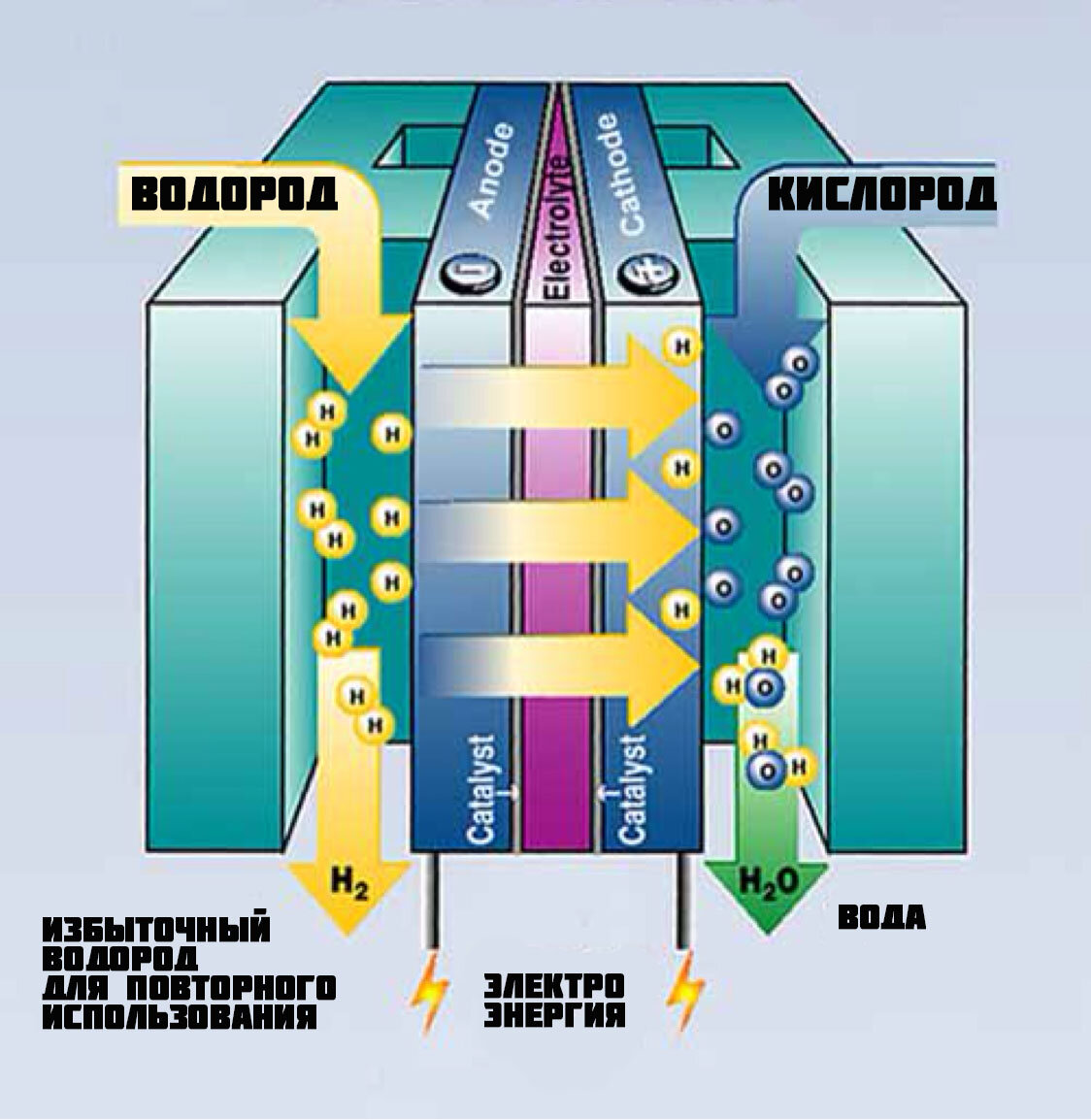 Водородная клетка. Схема водородного топливного элемента. Топливная ячейка на водороде. Топливный элемент 5 КВТ. Водородный топливный элемент принцип работы.