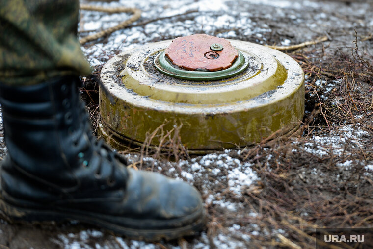    Киев с помощью меда будет выпрашивать у Запада деньги на разминирование
