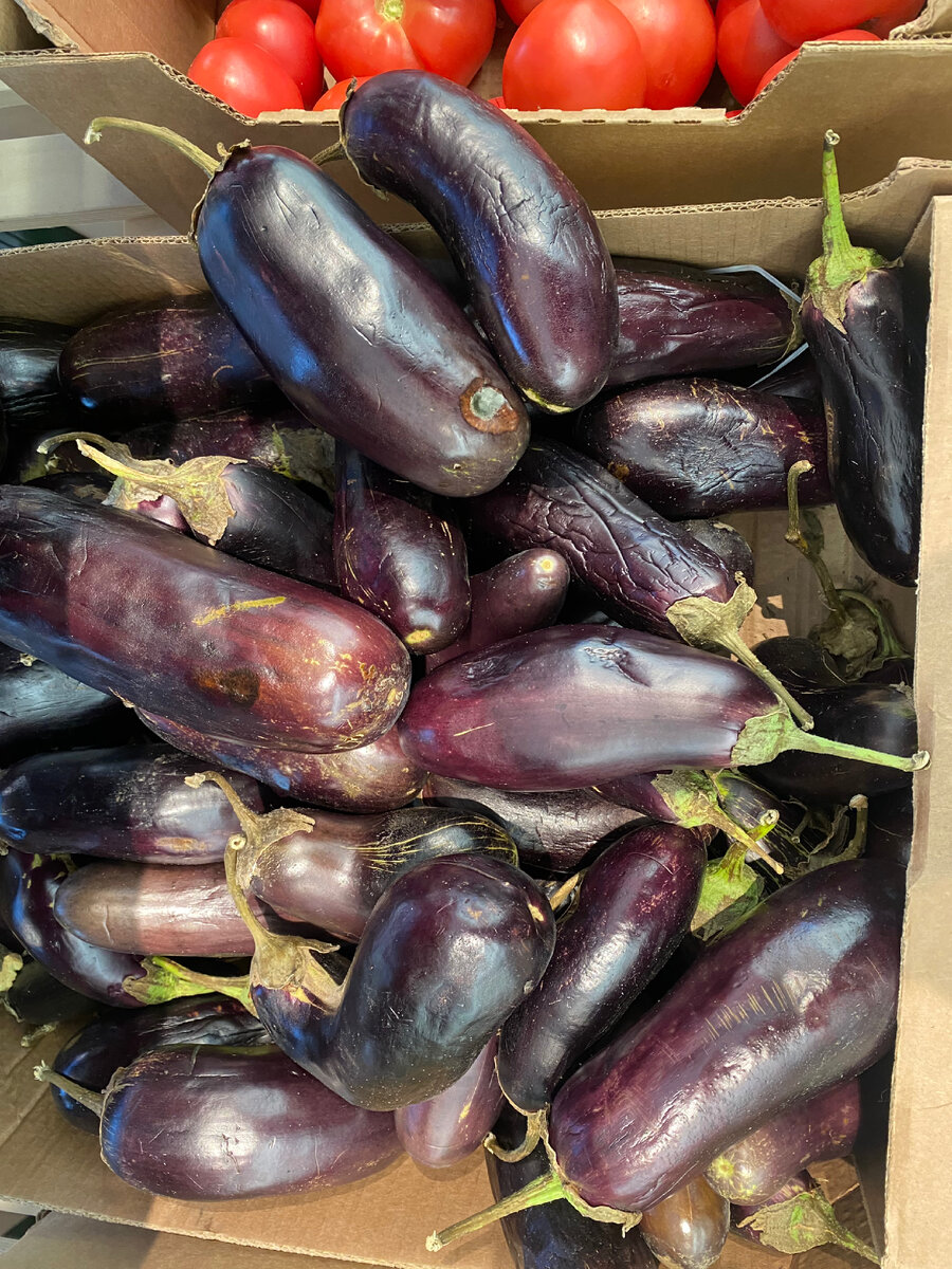 Увядшие баклажаны 