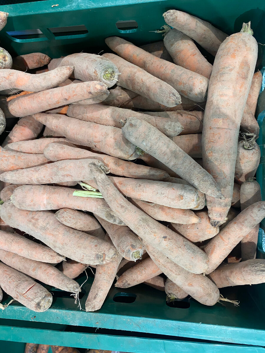 Морковь на последнем издыхе