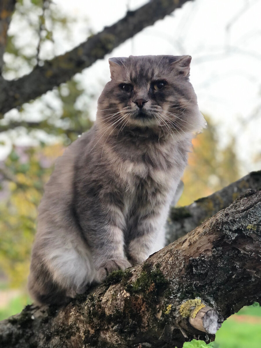 А чего это вы тут делаете? Везде фото автора.
