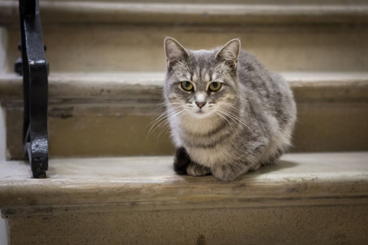 Катя на работе 