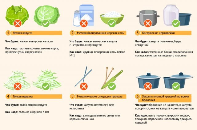   12 ошибок с квашеной капустой. Инфографика