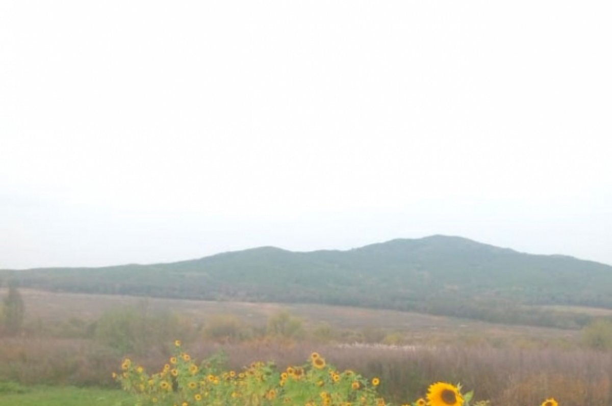    На Камчатке поступило 24 заявления от участников СВО о предоставлении земли