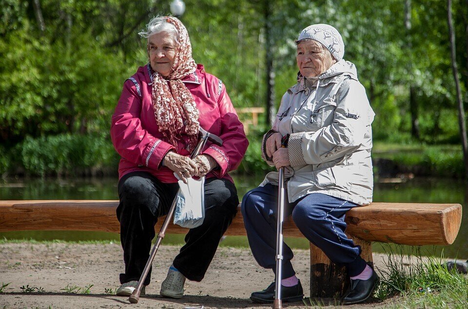 Стоковое фото.