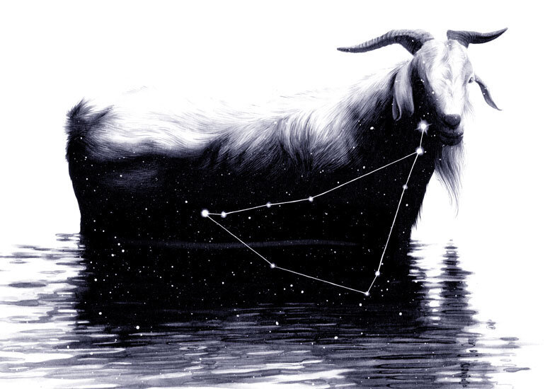 Sagittarius and Capricorn. Capricorn illustration. Обиженный козерог