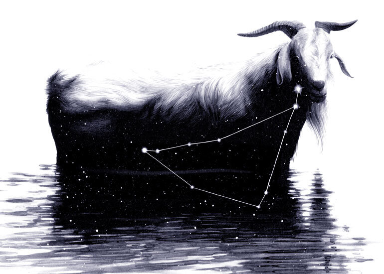 Sagittarius and Capricorn. Capricorn illustration.