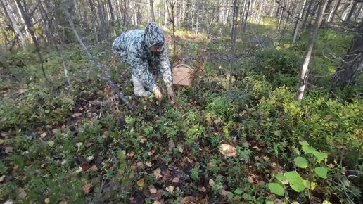 Фильм про странного мужика в лесу и девушку, ставшей его пленницей.. | VK