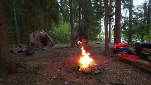 Зоопорно с дикой лисой видео смотреть