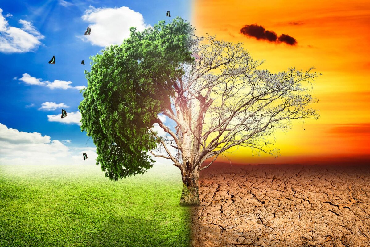 Природа земли климат