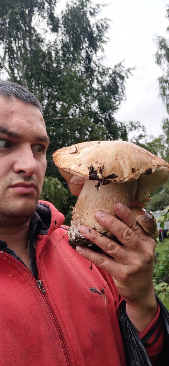 Мой Толстоногий рекордсмен 😋