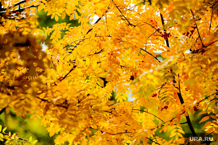    В октябре в части регионов России снова ожидается потепление