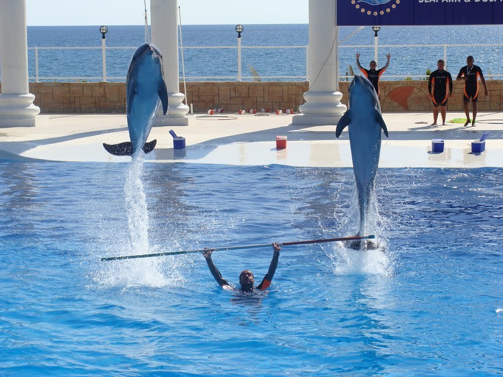 Фотогалерея парка Sealanya