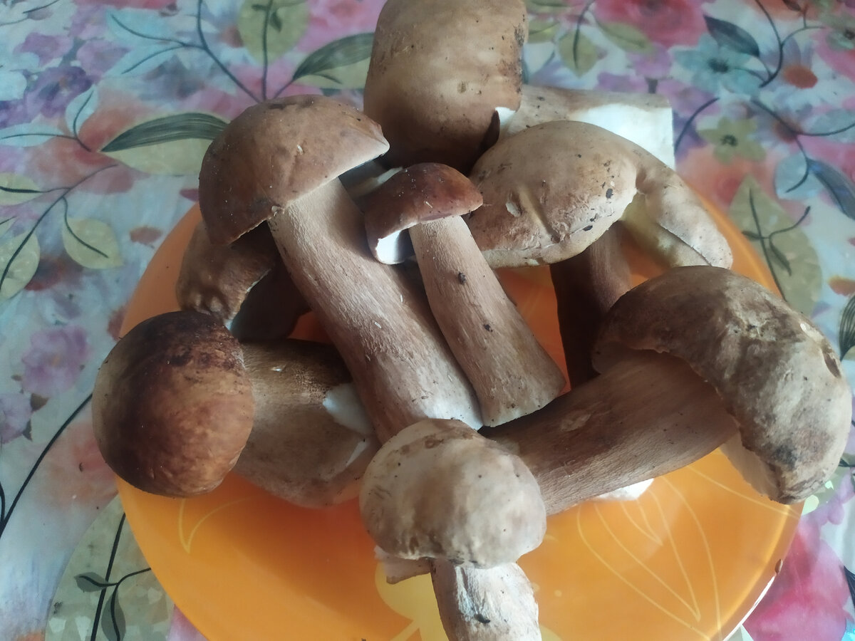 После чего нарежем его произвольной формой.Кому как нравится,кто как любит.