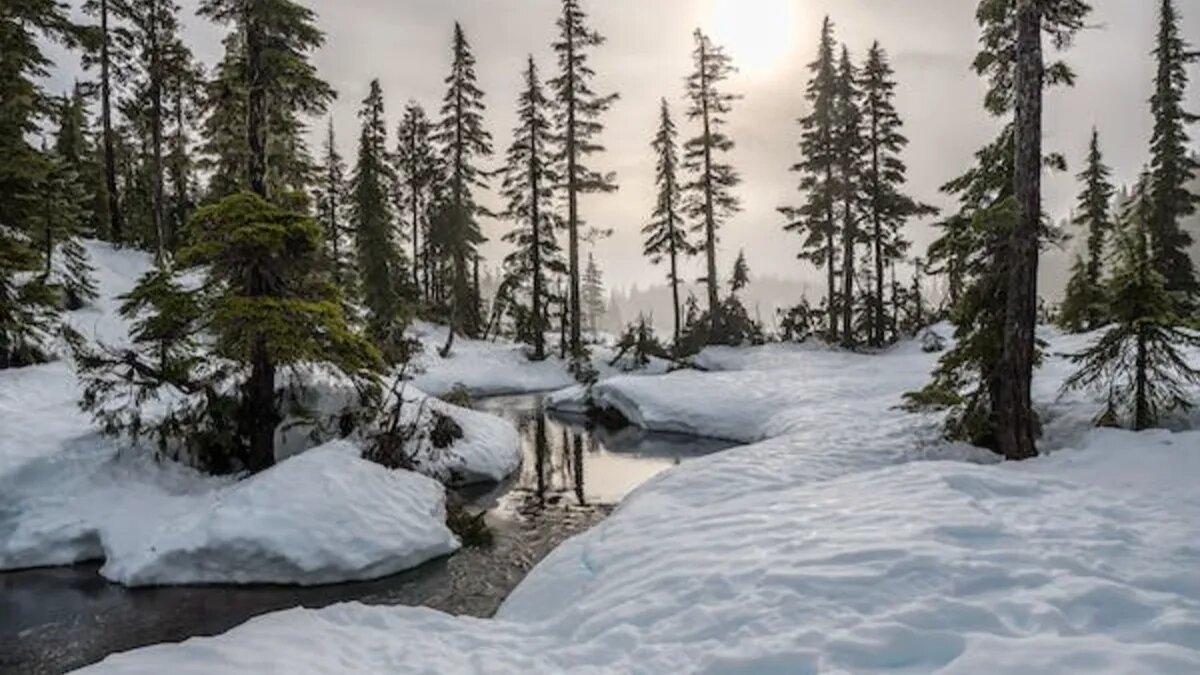 Ноябрь подготавливает жителей страны к скорому приходу зимы. Фото: pexels.com