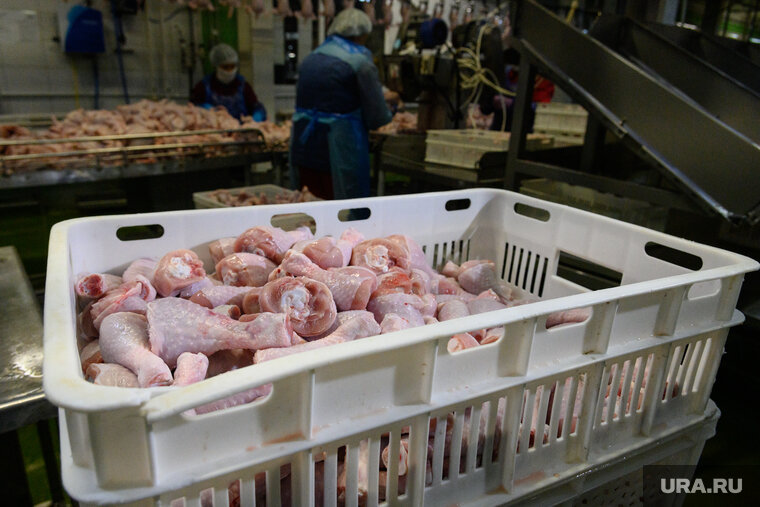    В Тюмени за последние месяцы цена на курятину выросла на 8%