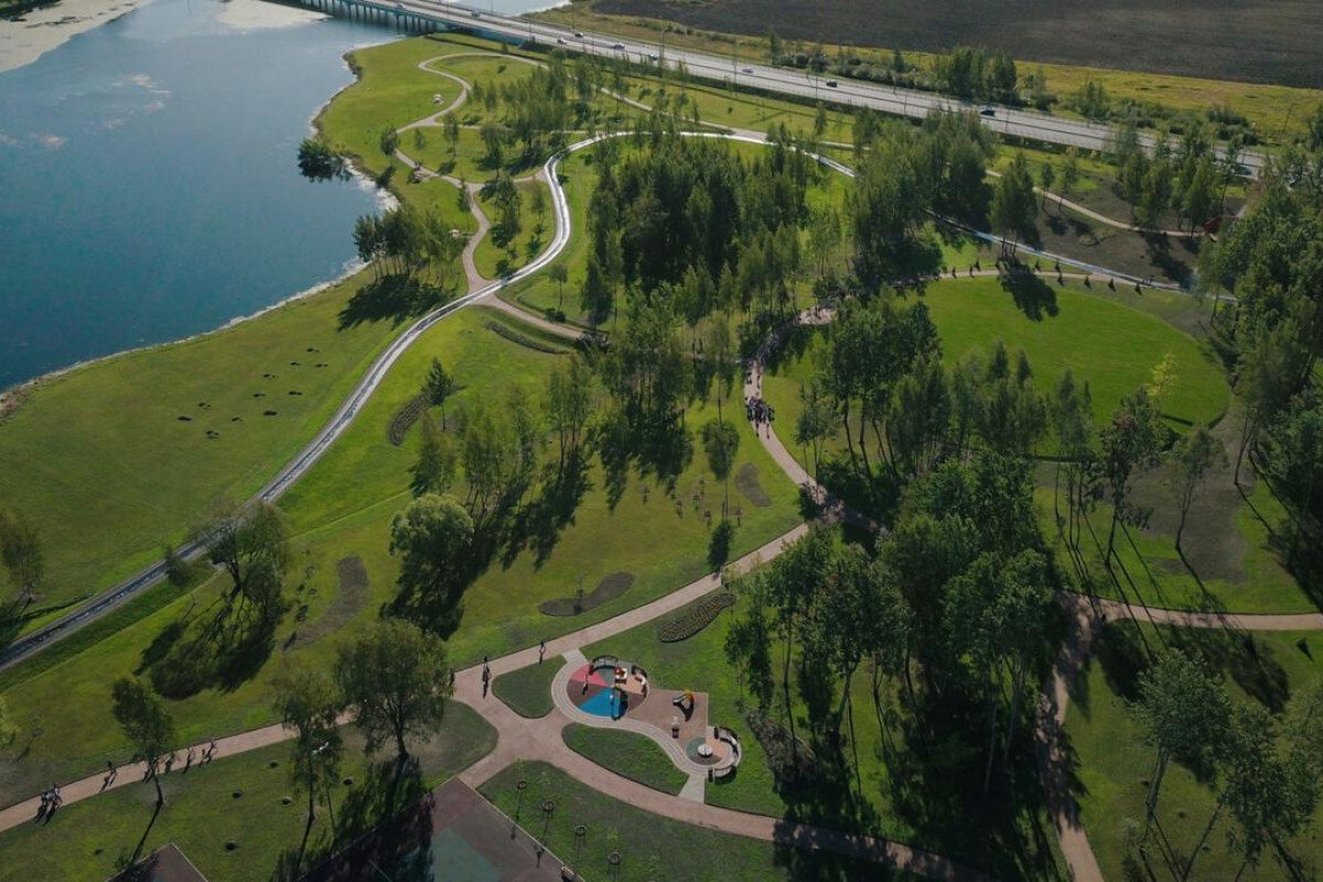 Зеленые насаждения не главный показатель чистоты воздуха