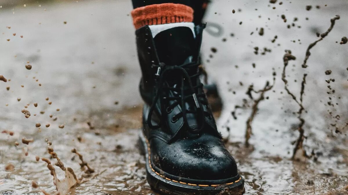 Дождь 
Фото: pexels.com