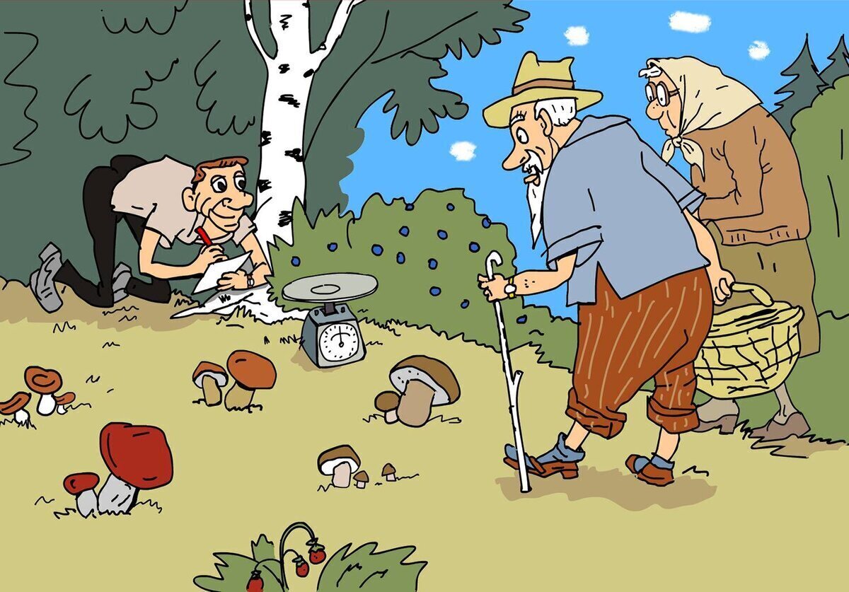 Подготовка и выбор собаки