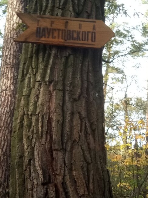 Итак, путешествие начинается... Указатель есть!