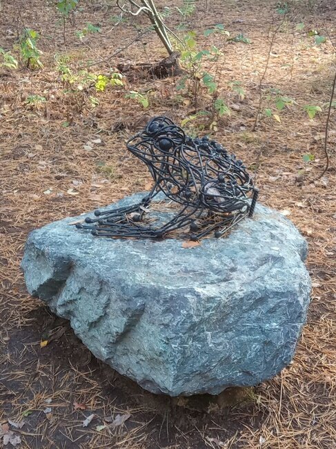 Квакша незаметная, зато валун заметен издалека...