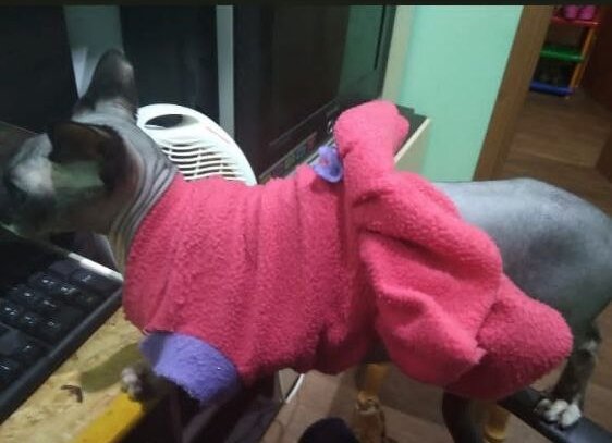 Из домашнего архива