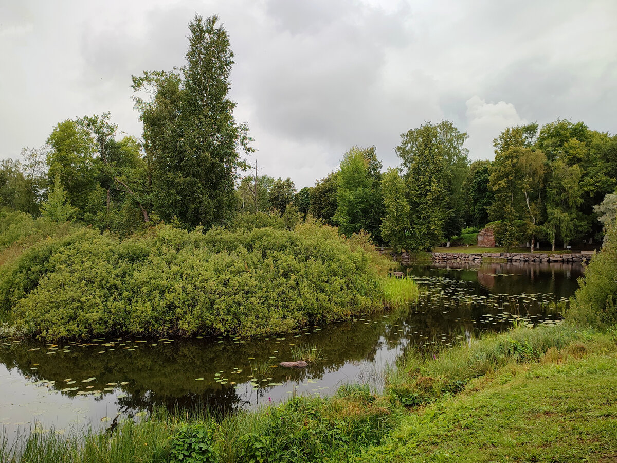 А вот и река Вуокса. Милые пасторальные пейзажи ☺️
