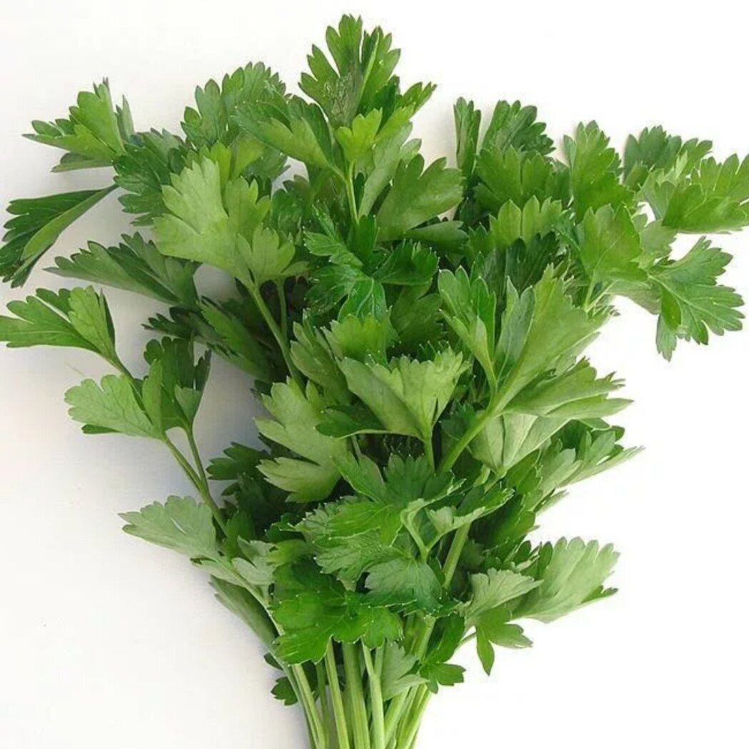 Петрушка parsley