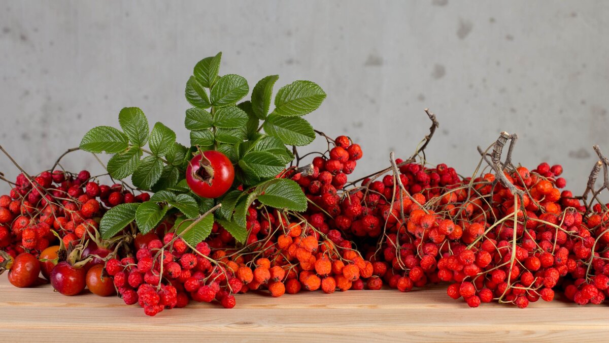 Источник фото: Canva