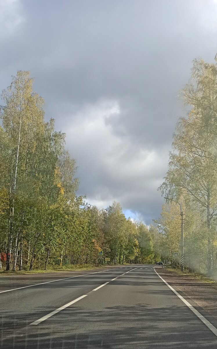 Фото автора. Немного "голубого" Питерского неба вам)