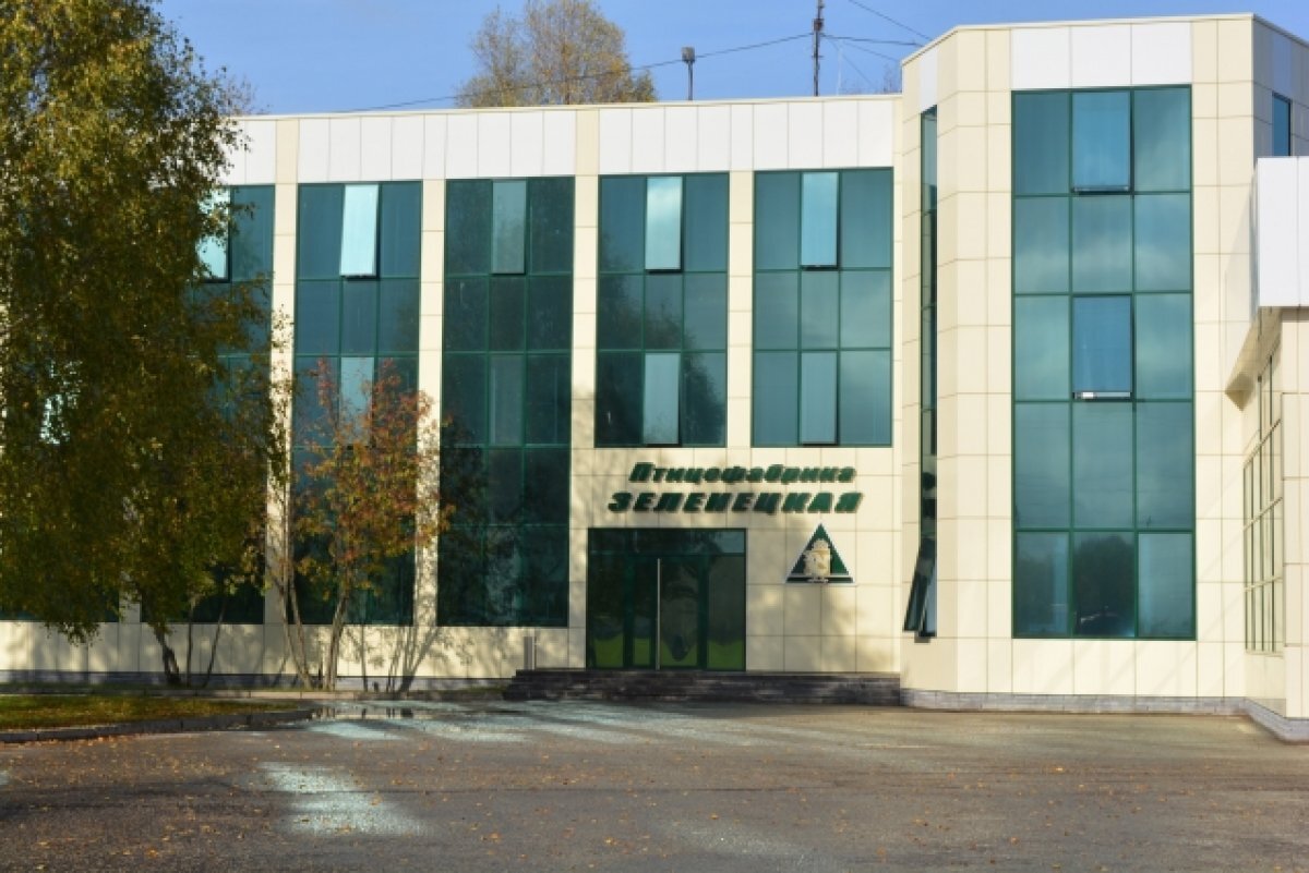    "Зеленецкая" - самая северная птицефабрика России