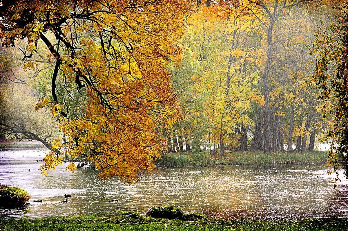 Осень, ах, осень...