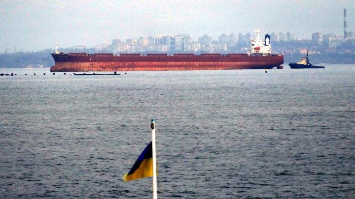 Фото: globallookpress.com/Yulii Zozulia