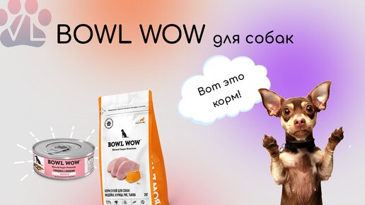 Боул вау. Корм Боул воу для кошек. Реклама корма Bowl wow в автобусах.