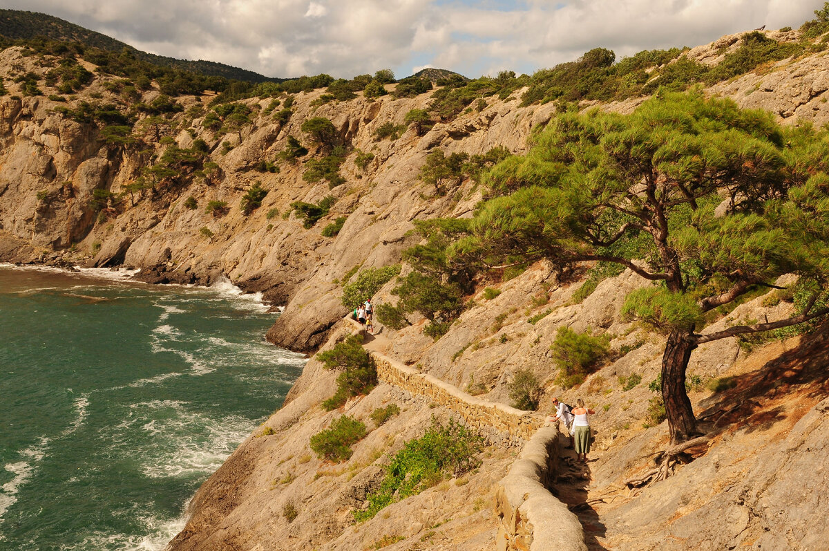 Тропа Голицына Заказник Новый Свет. Листайте.