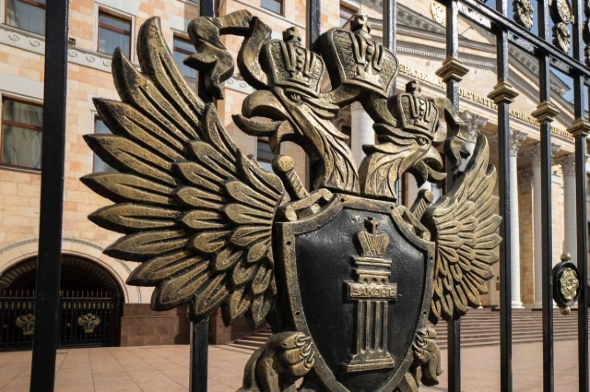   На сайте Генпрокуратуры открылся раздел для обращений участников СВО