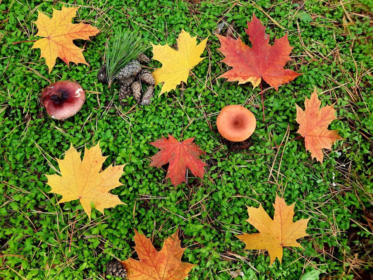 Середина октября 2022 года 