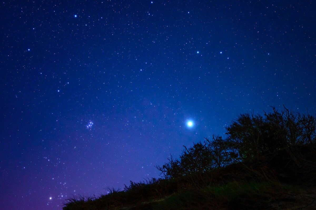 Фото сделано мной на Куршской косе