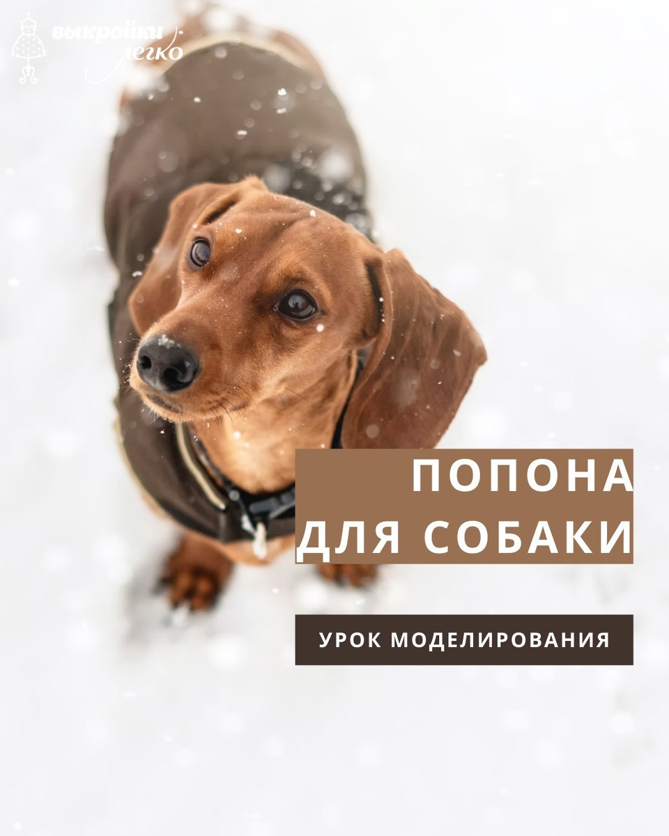 ПОПОНА для СОБАКИ своими руками/ВЫКРОЙКА попоны для собаки/DIY Dog Clothes