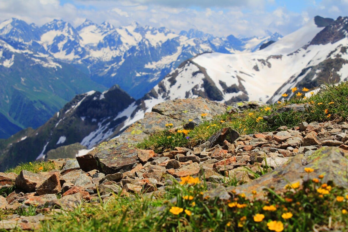 Nina Zhavoronkova. Собственная работа, CC BY-SA 4.0, https://commons.wikimedia.org/w/index.php?curid=59352964