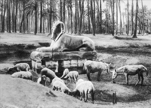 Мемфисский сфинкс, 20-е годы 20 века...