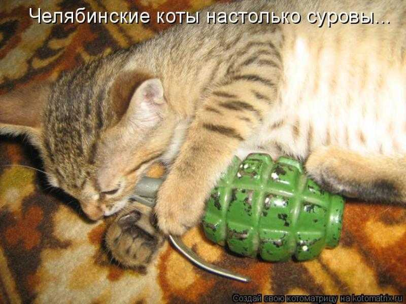 спасибо хозяин. статья за сговор наказание. за станком. суровый край. токарь на заводе.