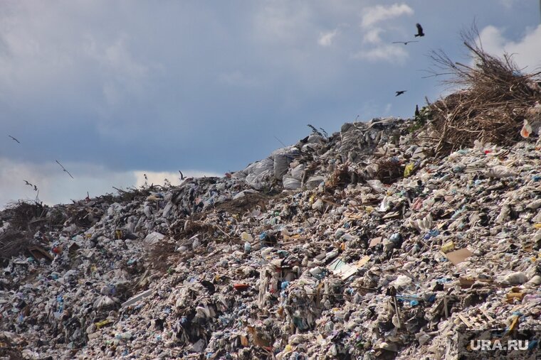    Площадь рекультивации составит 2,4 гектара